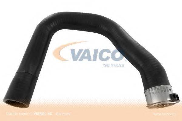 VAICO V401360 Трубка нагнетаемого воздуха