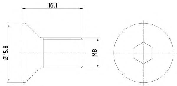 Болт, диск тормозного механизма HELLA 8DZ 355 209-061