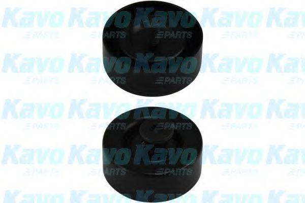 KAVO PARTS DIP3001 Паразитный / ведущий ролик, поликлиновой ремень