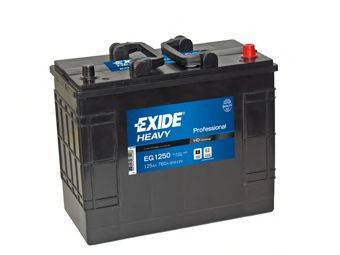 Стартерная аккумуляторная батарея; Стартерная аккумуляторная батарея EXIDE EG1250