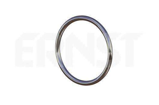 Уплотнительное кольцо, труба выхлопного газа ERNST 493130
