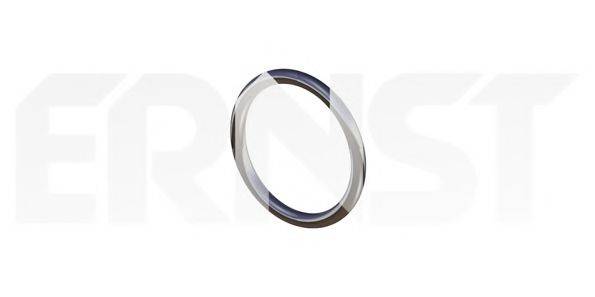 Уплотнительное кольцо, труба выхлопного газа ERNST 493789