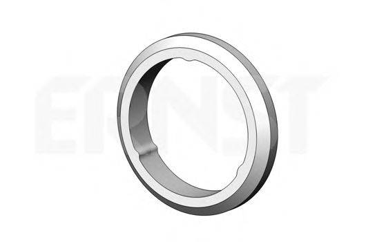 Уплотнительное кольцо, труба выхлопного газа ERNST 498678