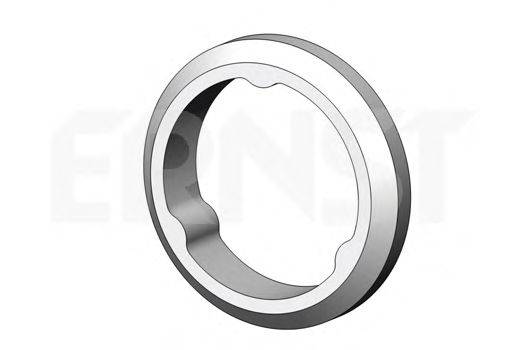 Уплотнительное кольцо, труба выхлопного газа ERNST 498692