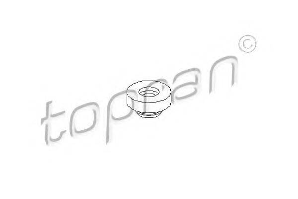 TOPRAN 100546 Прокладка, болт крышка головки цилиндра