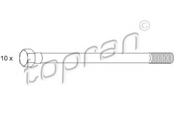 TOPRAN 500361 Комплект болтов головки цилидра
