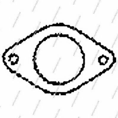 Уплотнительное кольцо, труба выхлопного газа NPS M433I01