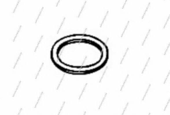 Уплотнительное кольцо, труба выхлопного газа NPS T433A10