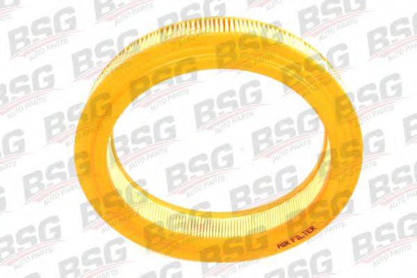 BSG BSG30135022 Воздушный фильтр