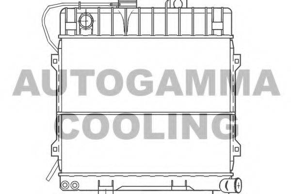 AUTOGAMMA 100089 Радиатор, охлаждение двигателя