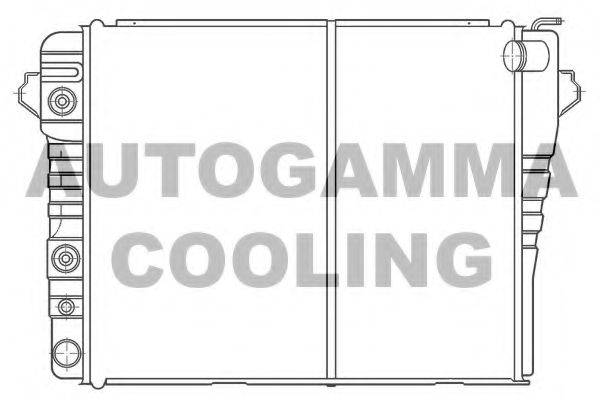AUTOGAMMA 100110 Радиатор, охлаждение двигателя