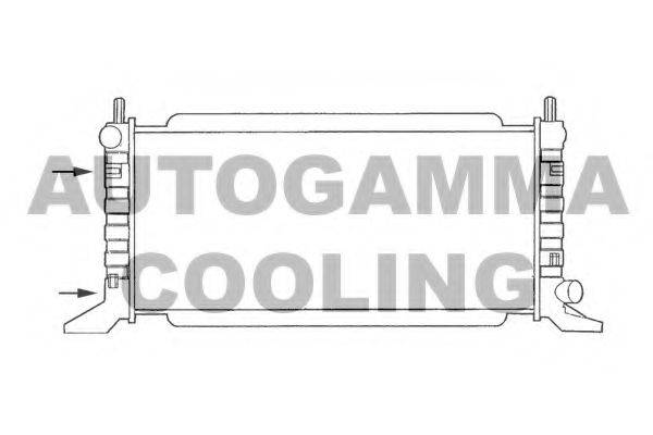 AUTOGAMMA 100342 Радиатор, охлаждение двигателя