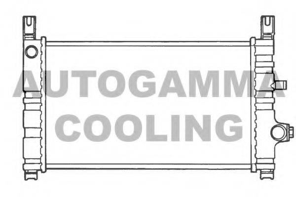 AUTOGAMMA 100355 Радиатор, охлаждение двигателя