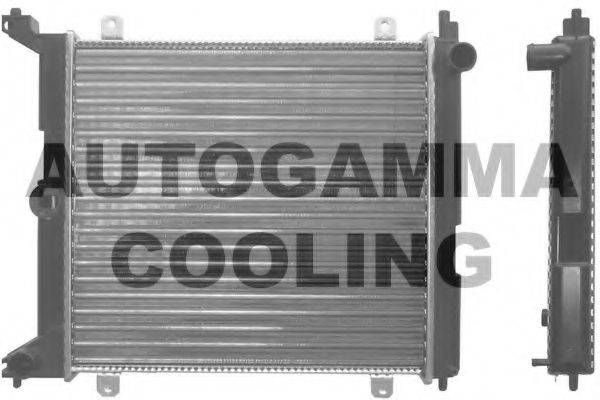 AUTOGAMMA 100423 Радиатор, охлаждение двигателя