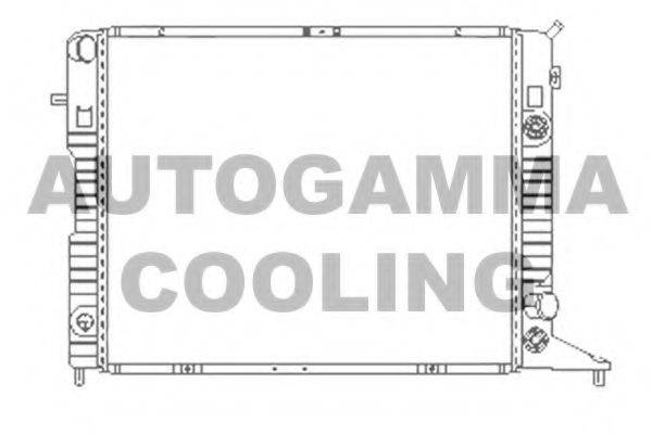 AUTOGAMMA 100711 Радиатор, охлаждение двигателя