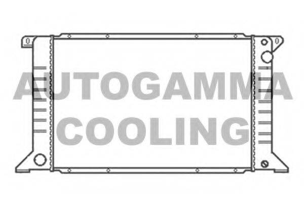 AUTOGAMMA 102079 Радиатор, охлаждение двигателя