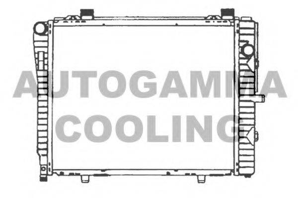 AUTOGAMMA 102166 Радиатор, охлаждение двигателя