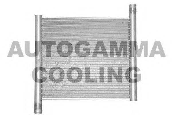 Радиатор, охлаждение двигателя AUTOGAMMA 102307