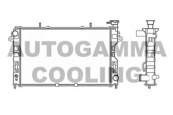AUTOGAMMA 102862 Радиатор, охлаждение двигателя