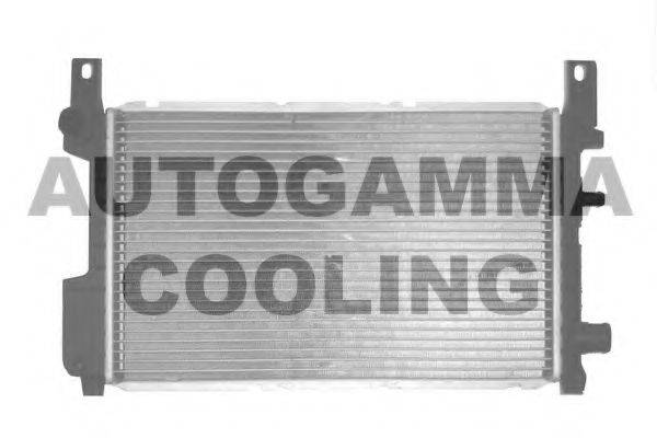 Радиатор, охлаждение двигателя AUTOGAMMA 103169