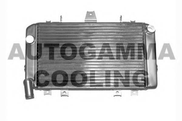 AUTOGAMMA 104366 Радиатор, охлаждение двигателя