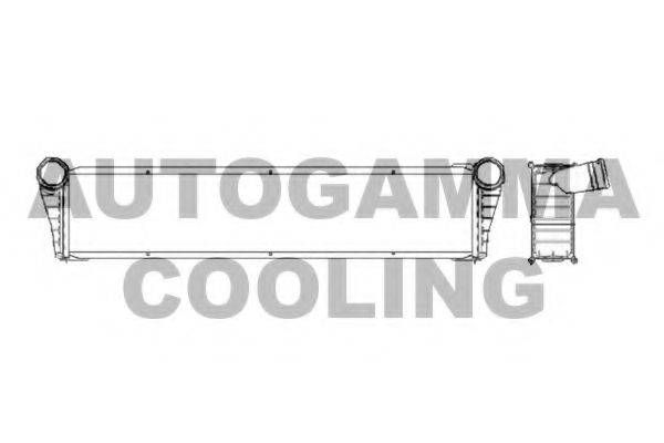 Радиатор, охлаждение двигателя AUTOGAMMA 104699