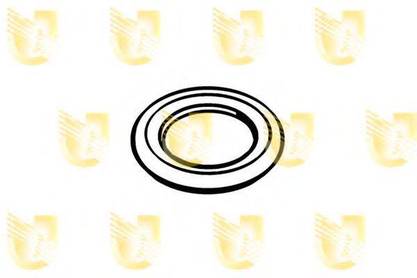 Уплотнительное кольцо, резьбовая пр UNIGOM 162060
