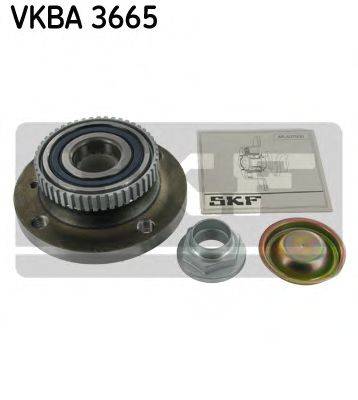 SKF VKBA3665 Комплект подшипника ступицы колеса