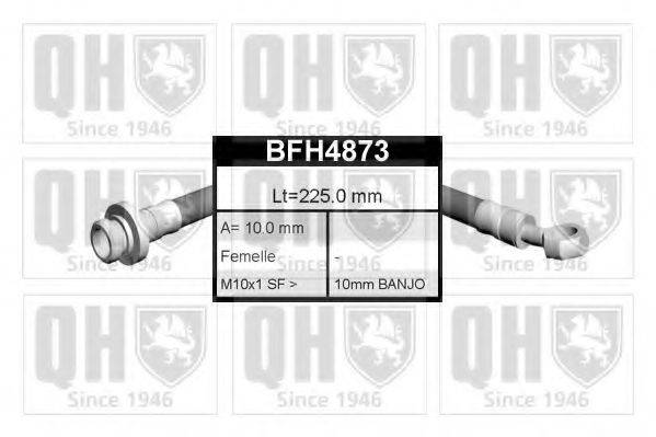 QUINTON HAZELL BFH4873 Тормозной шланг