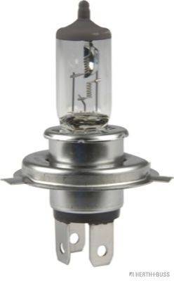 Лампа накаливания, фара дальнего света; Лампа накаливания, основная фара; Лампа накаливания, противотуманная фара; Лампа накаливания, основная фара HERTH+BUSS ELPARTS 89901101